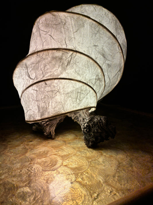 A New Shell- Organic Light Sculpture Table Lamp