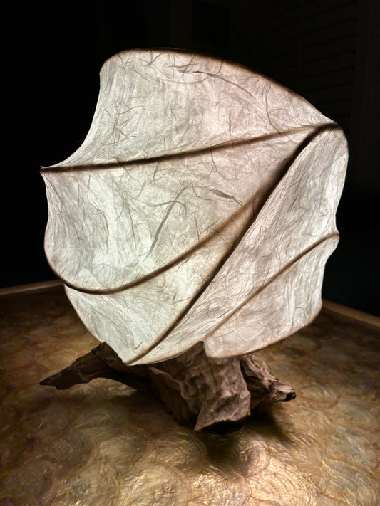 Chrysalis- Organic Light Sculpture Table Lamp