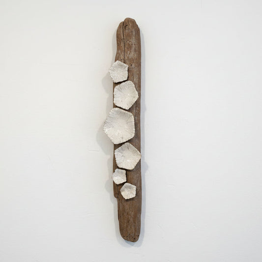 Hand-Crafted Ceramic Flowers on Wood by Robert Salem