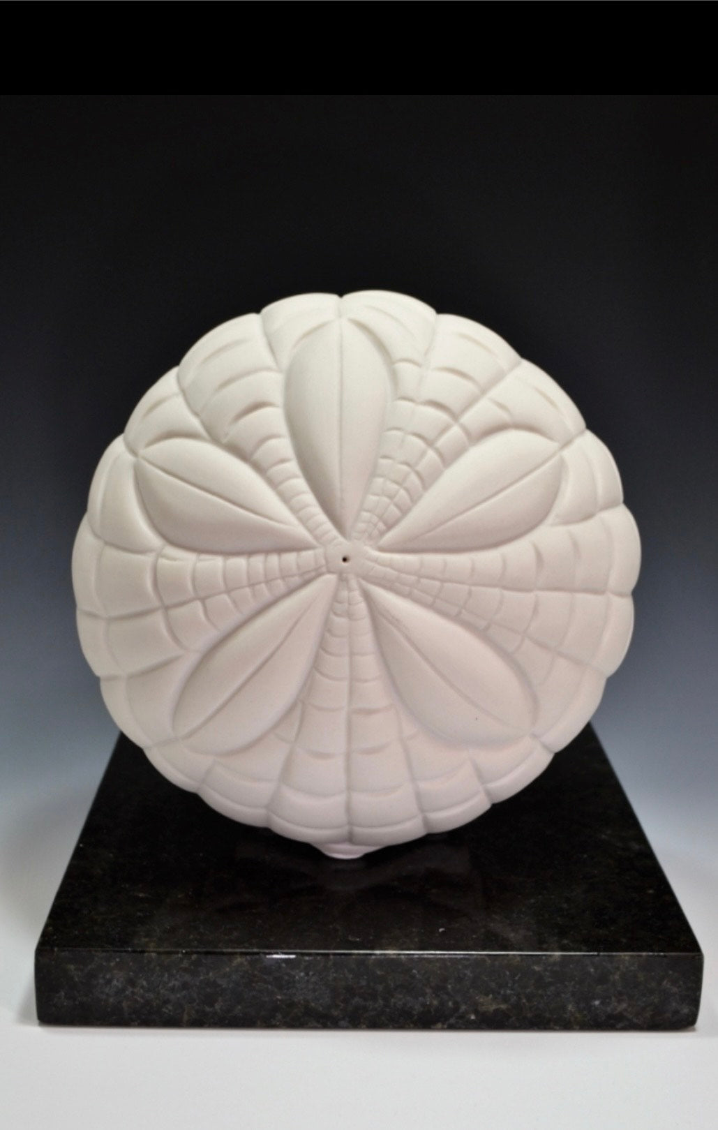 Sand Dollar Sculpture
