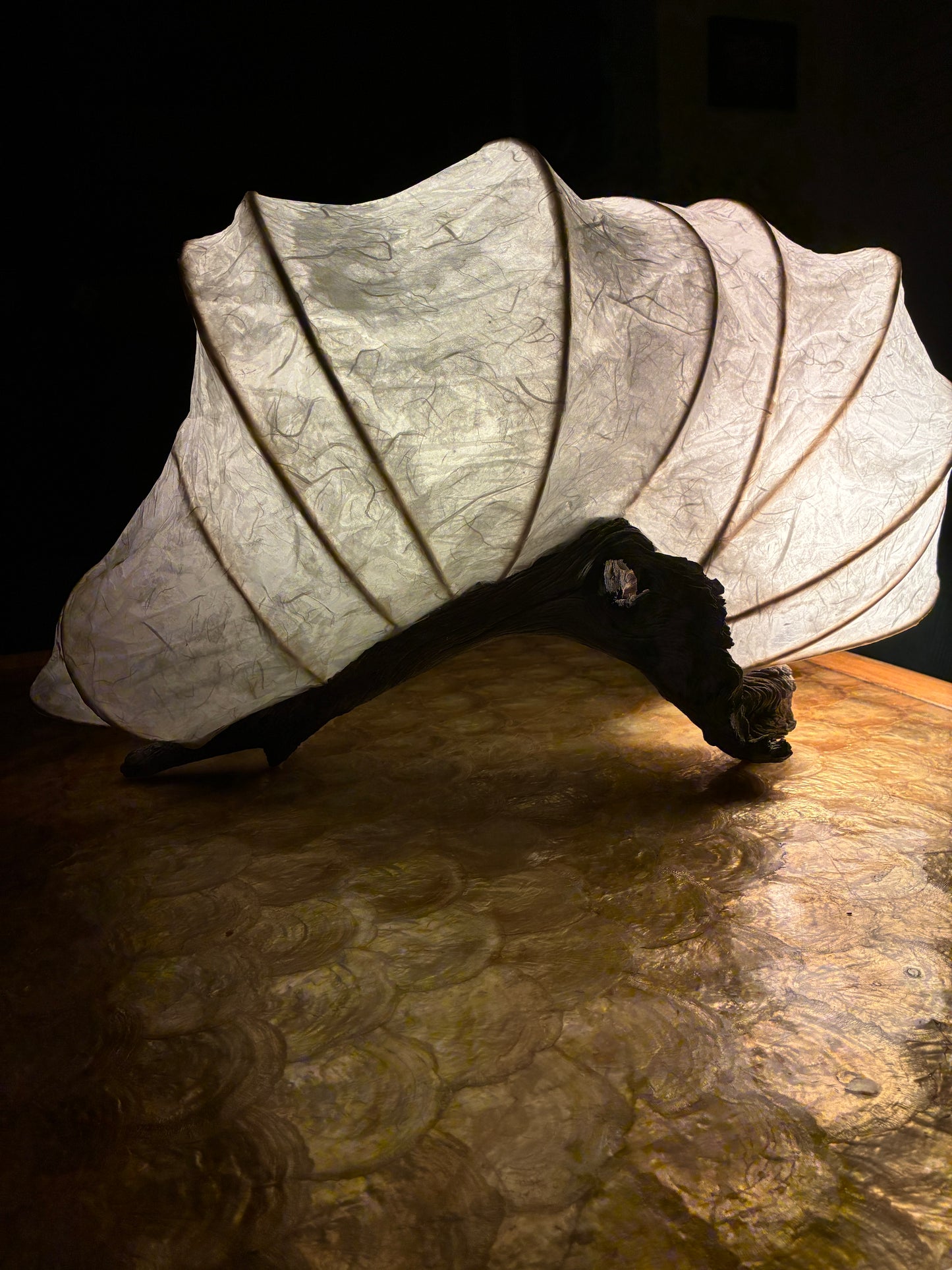 A New Shell- Organic Light Sculpture Table Lamp