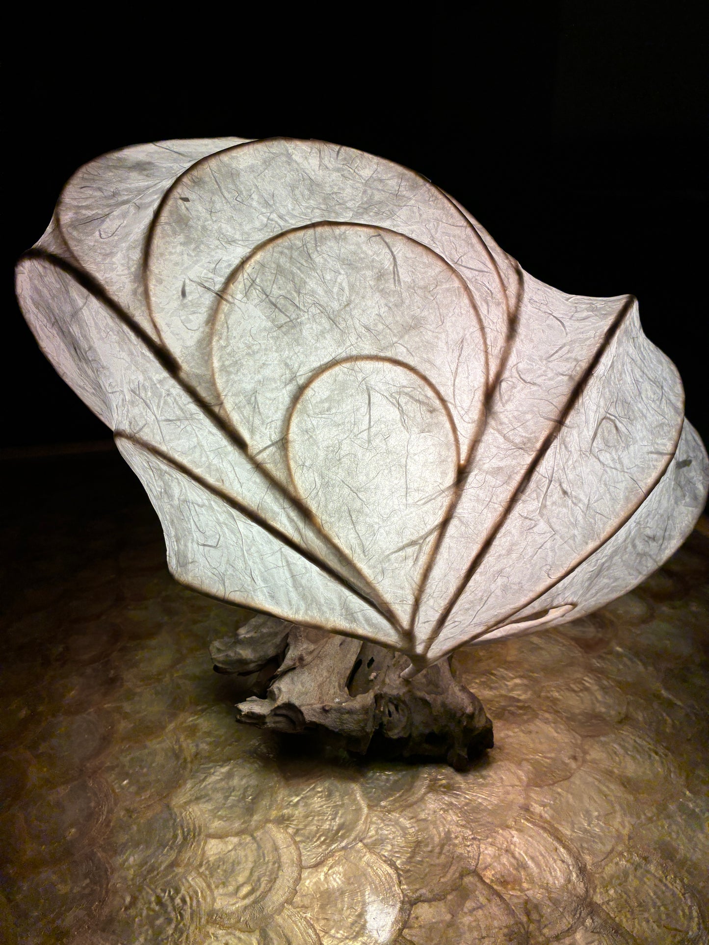 Chrysalis- Organic Light Sculpture Table Lamp