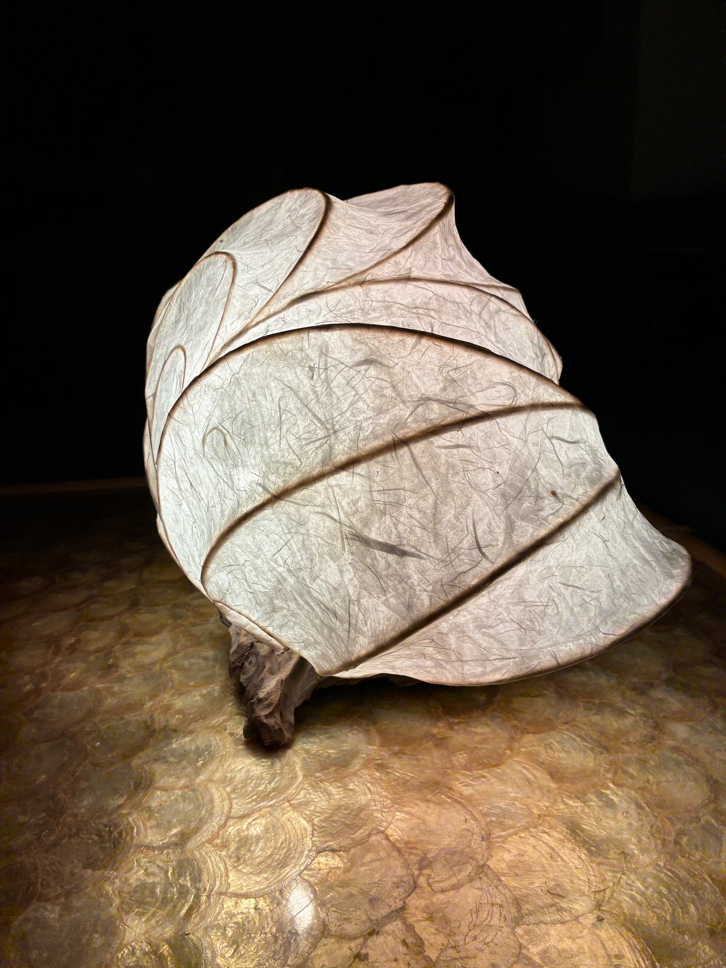 Chrysalis- Organic Light Sculpture Table Lamp