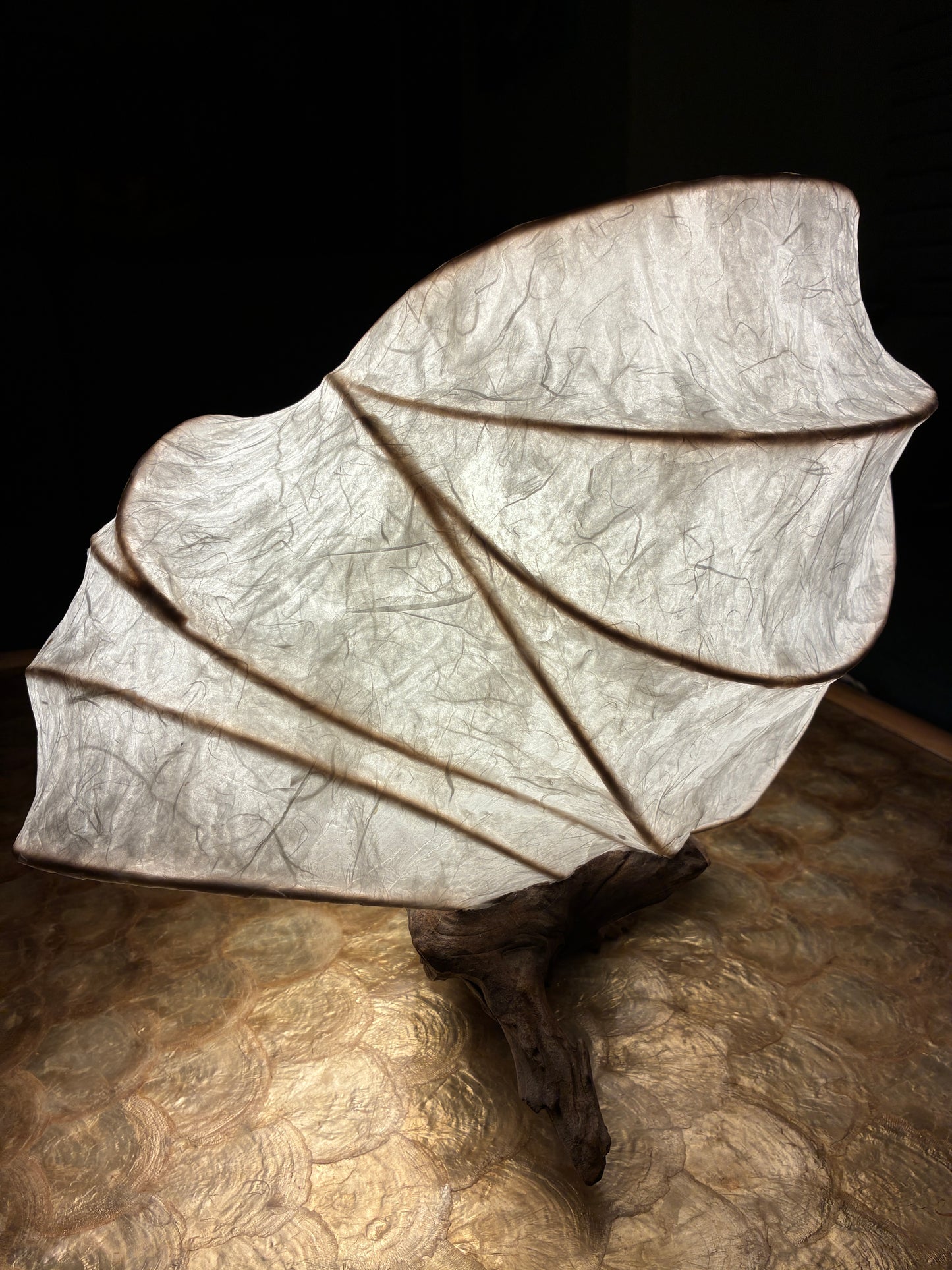 Chrysalis- Organic Light Sculpture Table Lamp