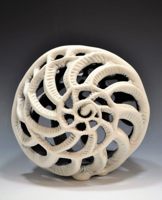 Hollow Nautilus with Black Glaze