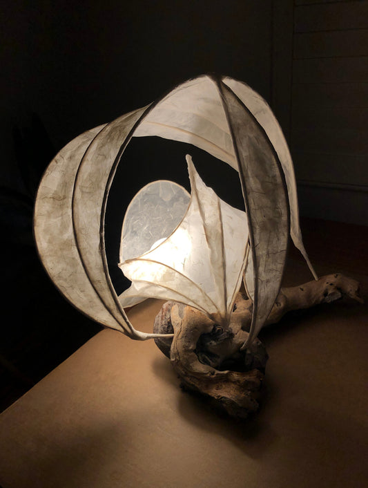 Set Sail- Organic Table Light Sculpture