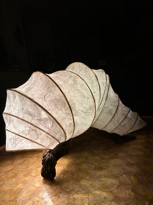 A New Shell- Organic Light Sculpture Table Lamp