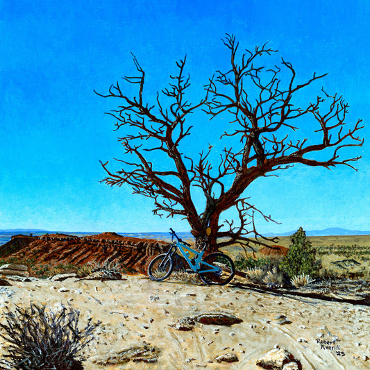 Cottonwood Sentry