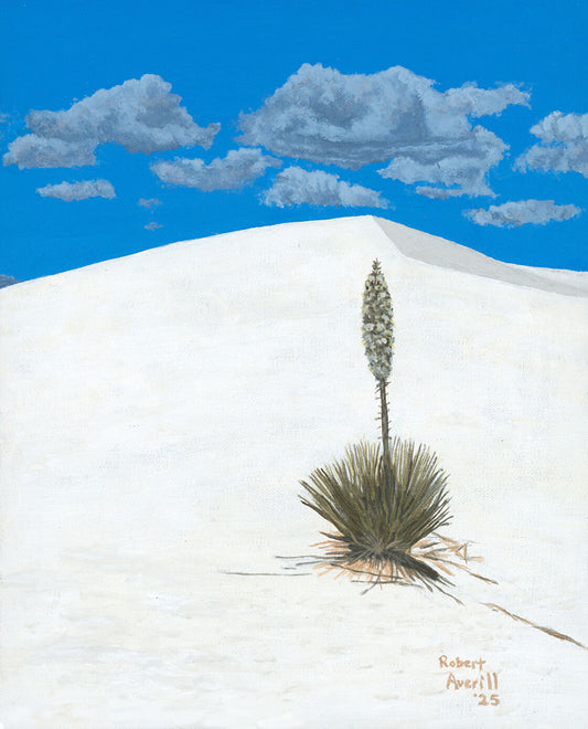 Lone Desert Bloom